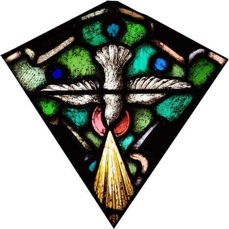dove image